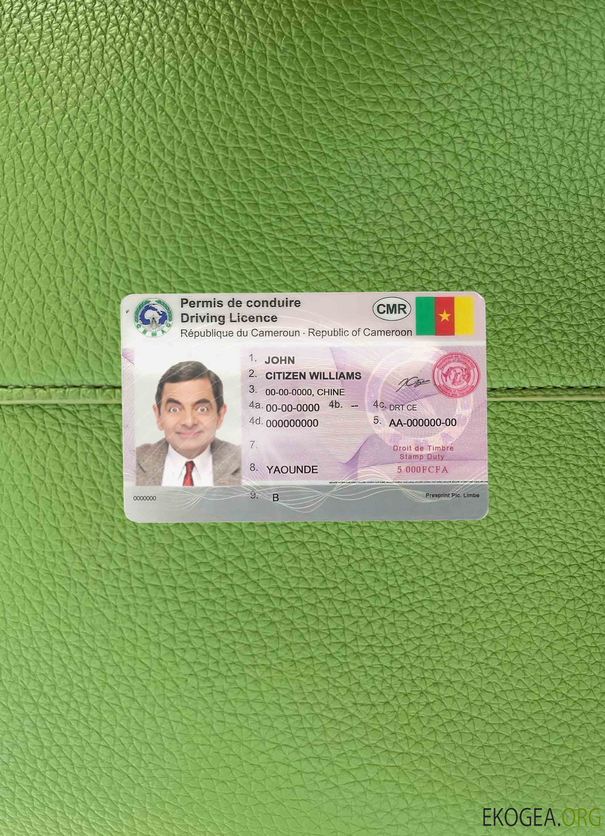 Cameroun DL photolook DEVANT